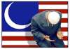 CAIR and the American Future