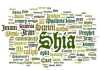 Sunnis and Shi'a: Fitna From the Start