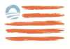 Did Obama Violate U.S. Code Mutilating the Flag With His Own Ego?
