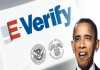 Obama Failed E-Verify: Linda Jordan Fined For Challenging Obama’s Identity Fraud