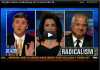 Brigitte Gabriel on Hanity and Gohmert introducing the ACT-letter to the House