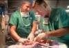 One-Third Of Britain’s Specialist Units Ordered to Stop Performing Heart Surgery on Kids